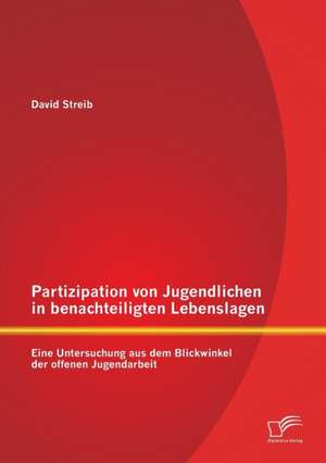 Partizipation Von Jugendlichen in Benachteiligten Lebenslagen: Eine Untersuchung Aus Dem Blickwinkel Der Offenen Jugendarbeit de David Streib