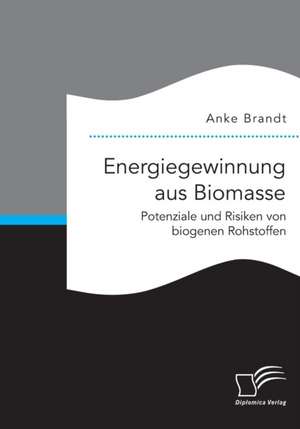 Energiegewinnung Aus Biomasse. Potenziale Und Risiken Von Biogenen Rohstoffen: Wie Das Erziehungsprinzip Rhythmik Die Teamentwicklung Fordern Kann de Anke Brandt