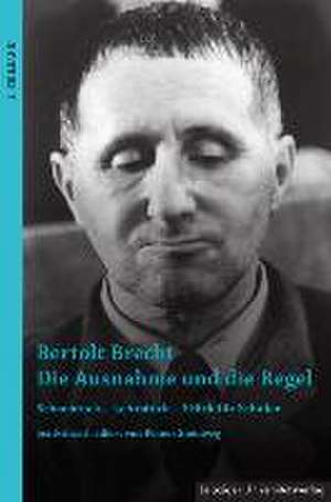 Bertolt Brecht - Die Ausnahme und die Regel de Reiner Steinweg