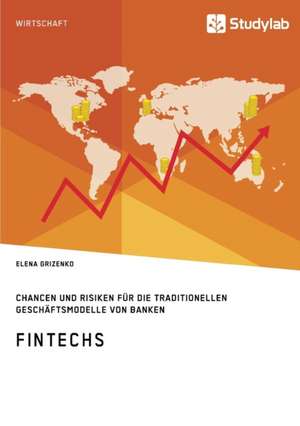 FinTechs. Chancen und Risiken für die traditionellen Geschäftsmodelle von Banken de Elena Grizenko