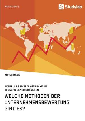 Welche Methoden der Unternehmensbewertung gibt es? Aktuelle Bewertungspraxis in verschiedenen Branchen de Mertay Karaca