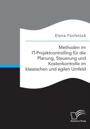 Methoden im IT-Projektcontrolling für die Planung, Steuerung und Kostenkontrolle im klassischen und agilen Umfeld de Elena Fünfstück