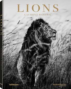 Lions de Laurent Baheux