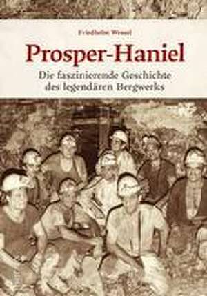 Prosper-Haniel de Friedhelm Wessel