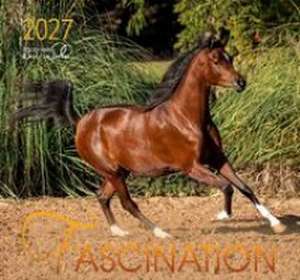 Fascination 2027 de Gabriele Boiselle