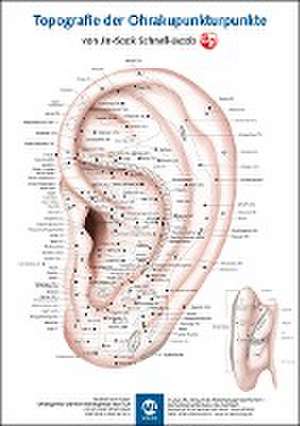 Poster - Topografie der Ohrakupunkturpunkte de Schnell-Jacob Jin-Sook