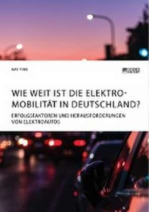 Wie weit ist die Elektromobilität in Deutschland? Erfolgsfaktoren und Herausforderungen von Elektroautos de Kay Fink