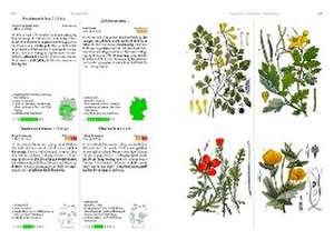 Die Flora von Deutschland. Alle heimischen Arten de Oliver Tackenberg