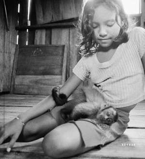 The Enchanted Ones de Stephanie Pommez