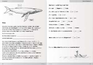 Ich kann lesen 3. Schüler-Arbeitsheft für die 2. und 3. Klasse de Katrin Langhans