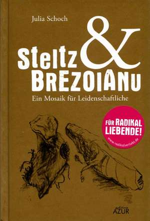 Steltz & Brezoianu de Julia Schoch