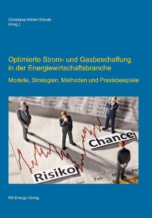 Optimierte Strom- und Gasbeschaffung in der Energiewirtschaftsbranche de Christiana Köhler-Schute