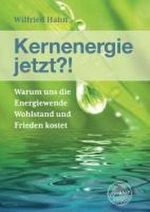 Kernenergie jetzt?! de Wilfried Hahn