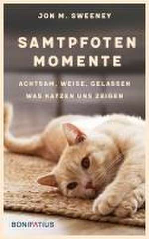 Samtpfotenmomente de Jon M. Sweeney