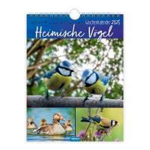 Trötsch Wochenkalender zum Hängen Heimische Vögel 2025 de Trötsch Verlag GmbH & Co. KG