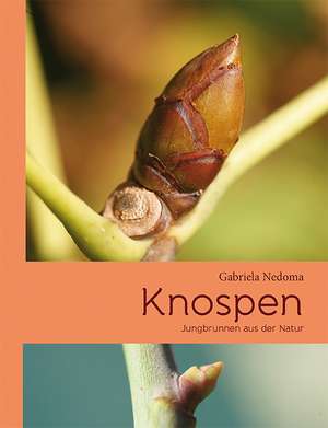 Knospen de Gabriela Nedoma