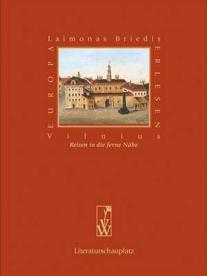 Vilnius de Laimonas Briedis