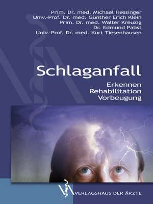 Schlaganfall de Michael Hessinger