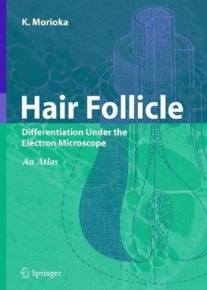 Hair Follicle: Differentiation under the Electron Microscope - An Atlas de K. Morioka