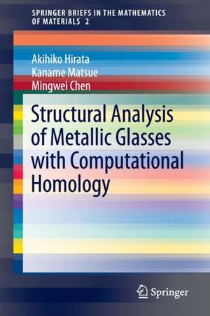 Structural Analysis of Metallic Glasses with Computational Homology de Akihiko Hirata