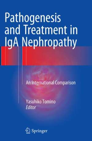 Pathogenesis and Treatment in IgA Nephropathy: An International Comparison de Yasuhiko Tomino