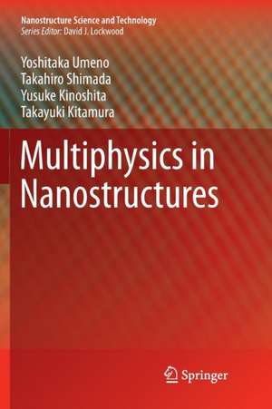 Multiphysics in Nanostructures de Yoshitaka Umeno