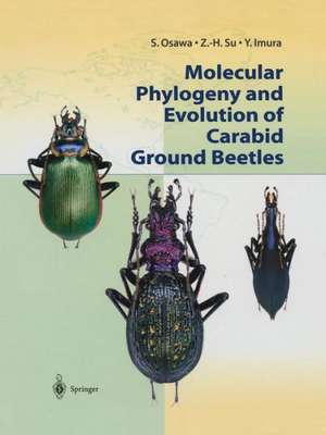 Molecular Phylogeny and Evolution of Carabid Ground Beetles de S. Osawa