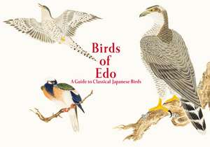 Birds of Edo de Pie International