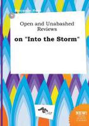 Open and Unabashed Reviews on Into the Storm de Benjamin Read