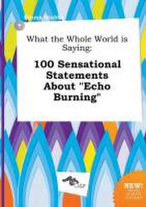 What the Whole World Is Saying: 100 Sensational Statements about Echo Burning de Emma Stubbs