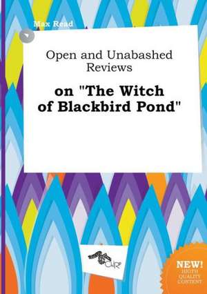 Open and Unabashed Reviews on the Witch of Blackbird Pond de Max Read