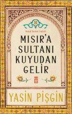 Misira Sultani Kuyudan Gelir de Yasin Pisgin