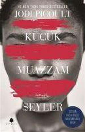 Kücük Muazzam Seyler de Jodi Picoult