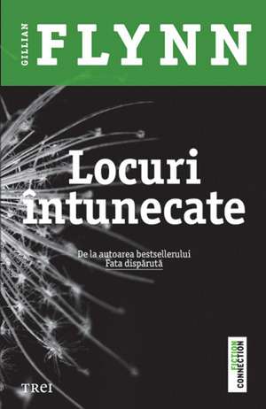 Locuri întunecate de Gillian Flynn