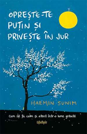 Oprește-te puțin și privește în jur de Haemin Sunim