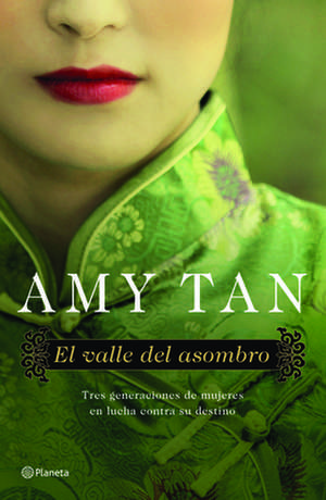 El Valle del Asombro: El Fuego de Cada Dia = The Best of Octavio Paz de Amy Tan