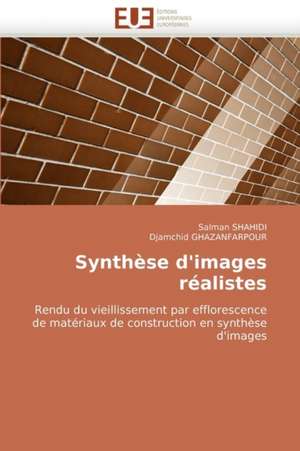 Synthese D'Images Realistes de Salman Shahidi