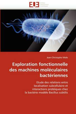 Exploration fonctionnelle des machines moléculaires bactériennes de Jean-Christophe Meile