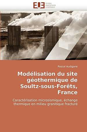 Modélisation du site géothermique de Soultz-sous-Forêts, France de Pascal Audigane