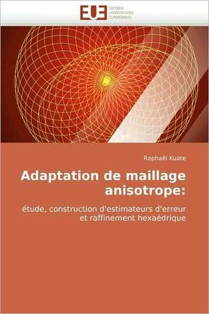 Adaptation de Maillage Anisotrope: Diversite Et Conflit de Raphaël Kuate