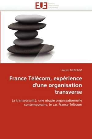 France Telecom, Experience D''Une Organisation Transverse: Etude Anthropologique de Laurent MENEGOZ