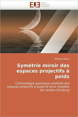 Symetrie Miroir Des Espaces Projectifs a Poids: Concepts, Evaluation Et Mise En Oeuvre de Etienne Mann