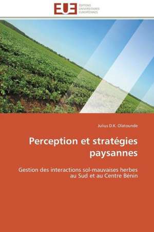 Perception Et Strategies Paysannes: Quand Les Difficultes Deviennent Opportunites de Julius D. K. Olatounde