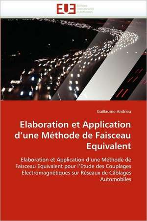 Elaboration et Application d'une Méthode de Faisceau Equivalent de Guillaume Andrieu