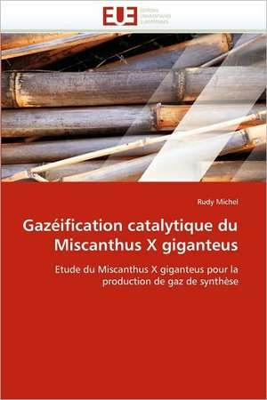 Gazeification Catalytique Du Miscanthus X Giganteus: Evaluation de La Dosimetrie Des Extremites de Rudy Michel