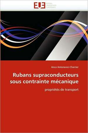 Rubans Supraconducteurs Sous Contrainte Mecanique: Integration Economique, Instabilite Et Vulnerabilite Sociale de Anca Antonevici-Charrier