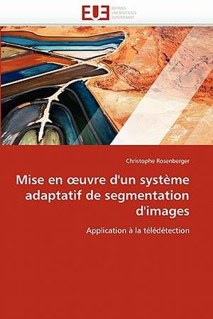 Mise En Uvre D'Un Systeme Adaptatif de Segmentation D'Images: Approche Par La Theorie de L Auto-Efficacite de Christophe Rosenberger