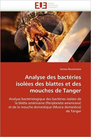 Analyse Des Bacteries Isolees Des Blattes Et Des Mouches de Tanger: Independance Ou Correspondance de lamiaa Bouamama