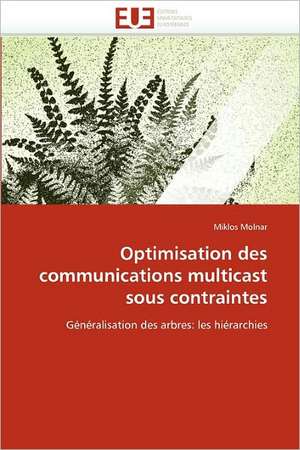 Optimisation des communications multicast sous contraintes de Miklos Molnar