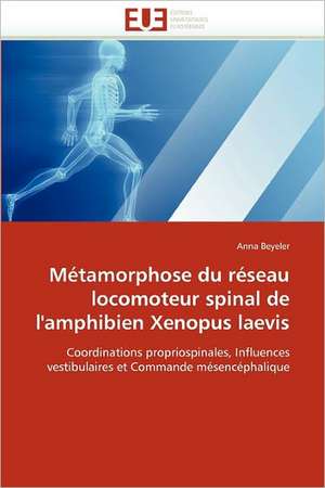 Métamorphose du réseau locomoteur spinal de l'amphibien Xenopus laevis de Anna Beyeler